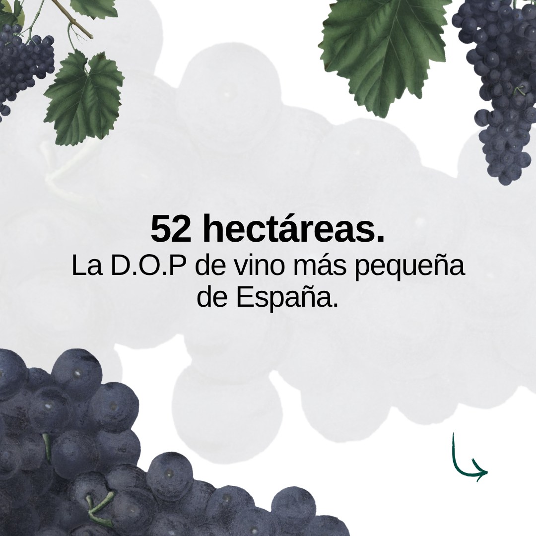 Lámina de un carrusel sobre la denominación de origen de vino más pequeña de España